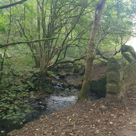 Loadpit Beck Stone Footbridge