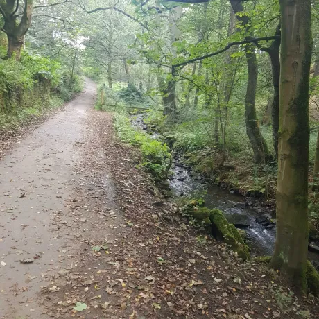 Loadpit Beck Path to Eldwick