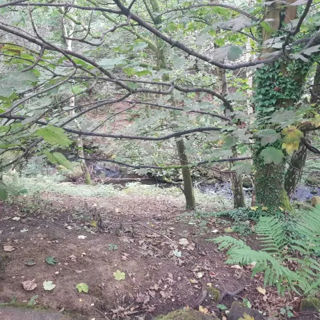 Loadpit Beck, Eldwick