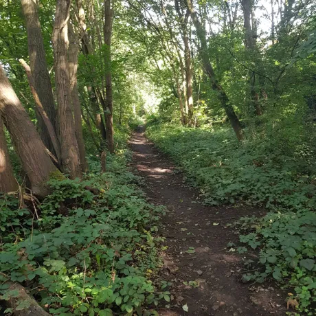 Rail Track Becomes Footpath