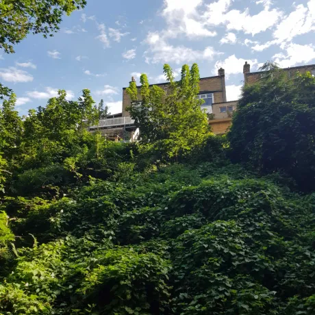 Steep Hillside Housing